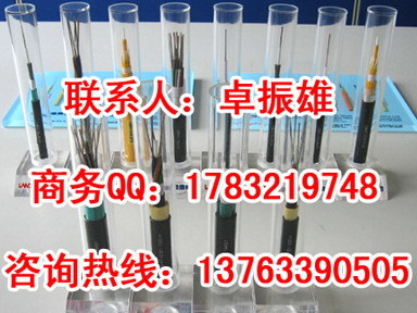 广东广州光缆采购指南 GYXTW与GYTS等型号价格与供应商全解析